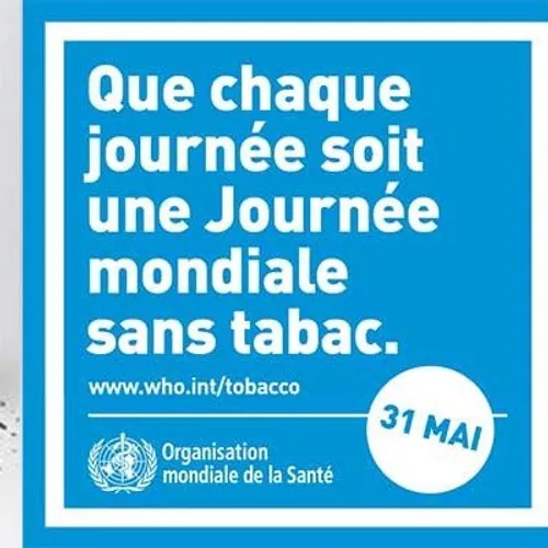 JOURNAL DU LUNDI 31 MAI ( MIDI )